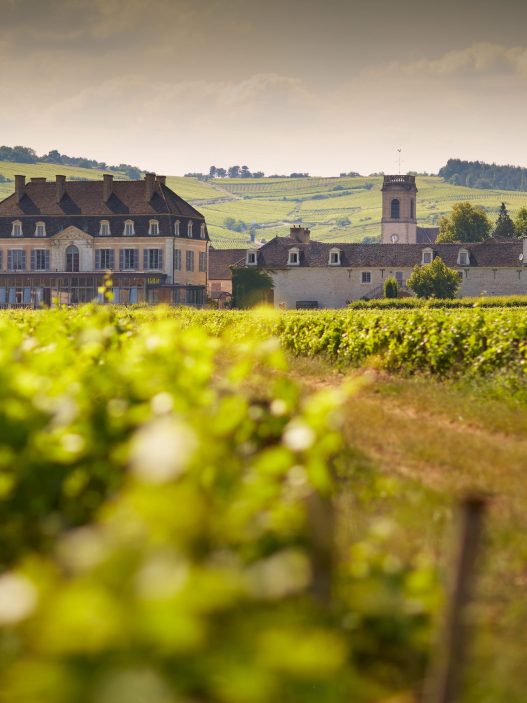 Château de Pommard photo credit Beaune Tourisme - (copyright) J.Piffaut